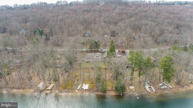 1909 Marsh Hill Rd, Mc Henry, MD 21541 - birds eye view of property with a wooded view and a water view
