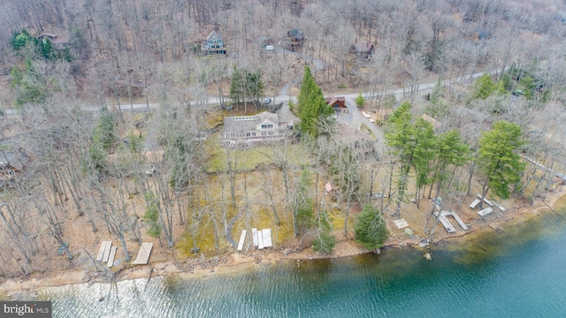 1909 Marsh Hill Rd, Mc Henry, MD 21541 - drone / aerial view with a water view