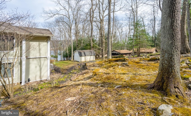 1909 Marsh Hill Rd, Mc Henry, MD 21541 - view of yard featuring an outbuilding and a shed