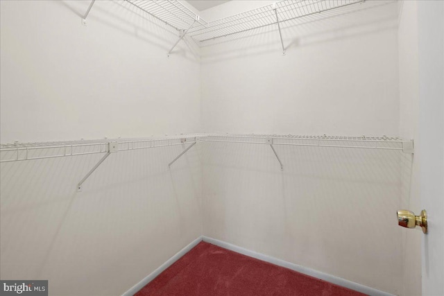 walk in closet featuring dark carpet