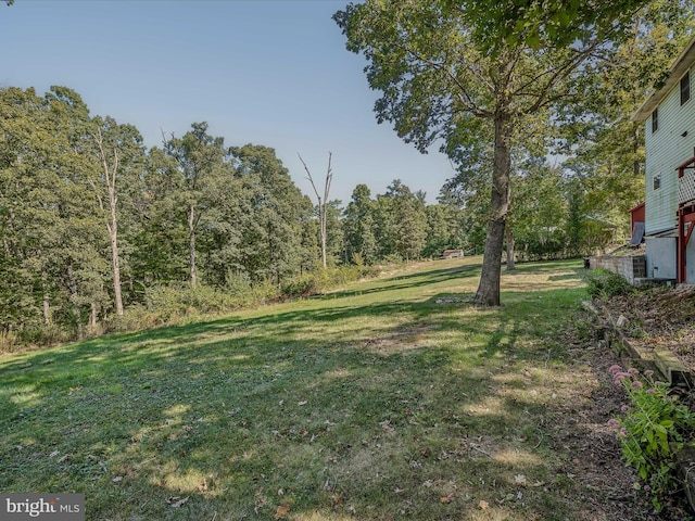 view of yard