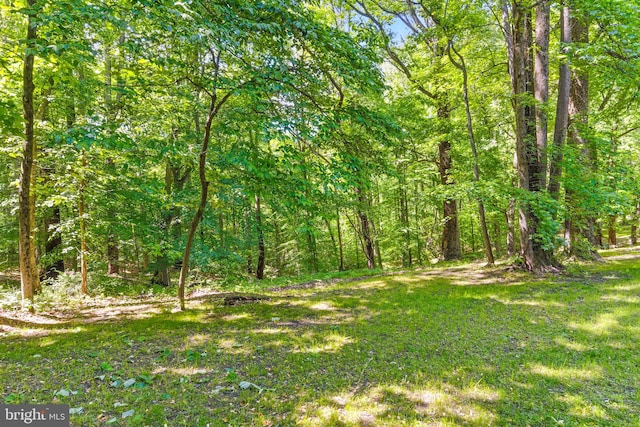 7000 Burch Hill Rd, Brandywine, MD 20613 - view of yard featuring a view of trees
