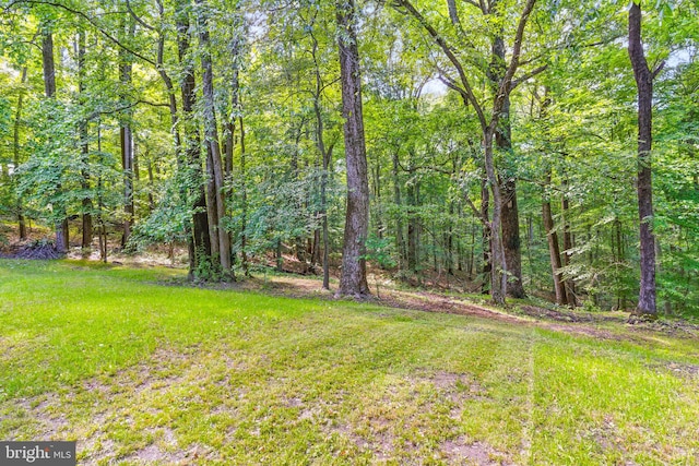 7000 Burch Hill Rd, Brandywine, MD 20613 - view of grassy yard featuring a view of trees