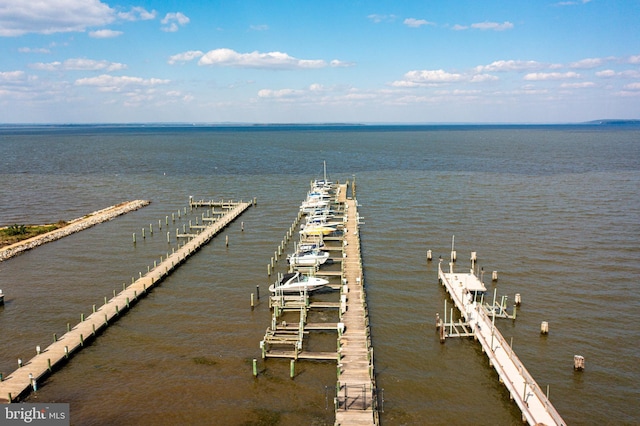 dock area with a water view