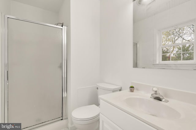 full bathroom featuring vanity, toilet, and a shower stall