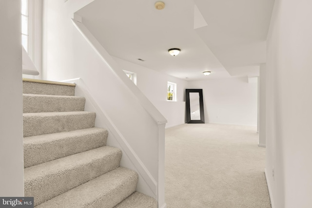 stairway featuring carpet