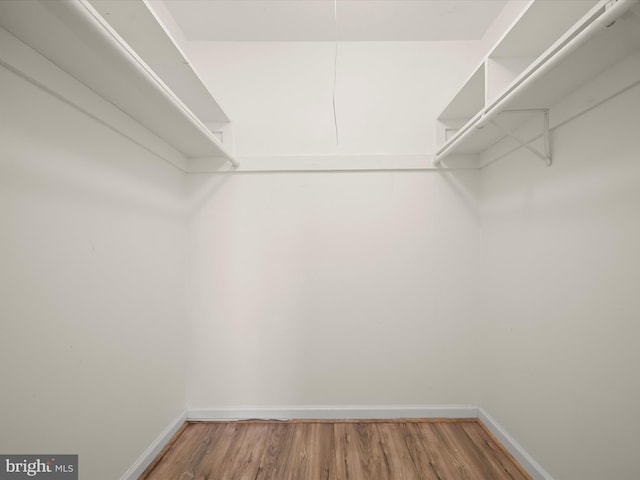 walk in closet with wood finished floors