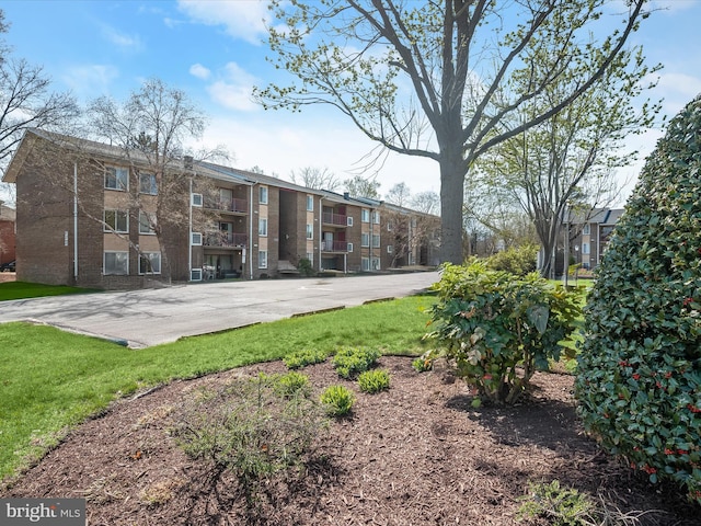 view of property's community with a yard