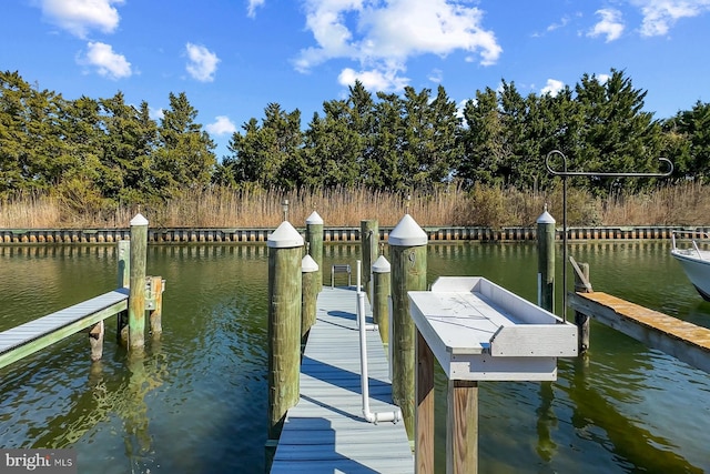 2818 Tern Dr Unit 9, Ocean City, MD 21842 - dock area with a water view
