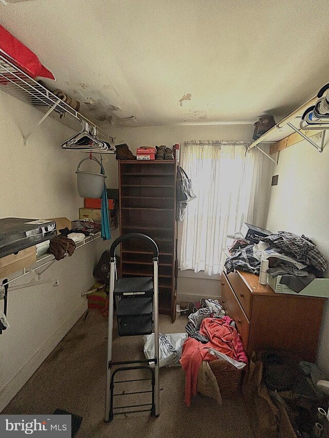 6637 Elton Dennis Rd, Willards, MD 21874 - view of storage area