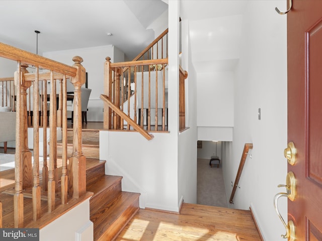 stairway featuring wood finished floors