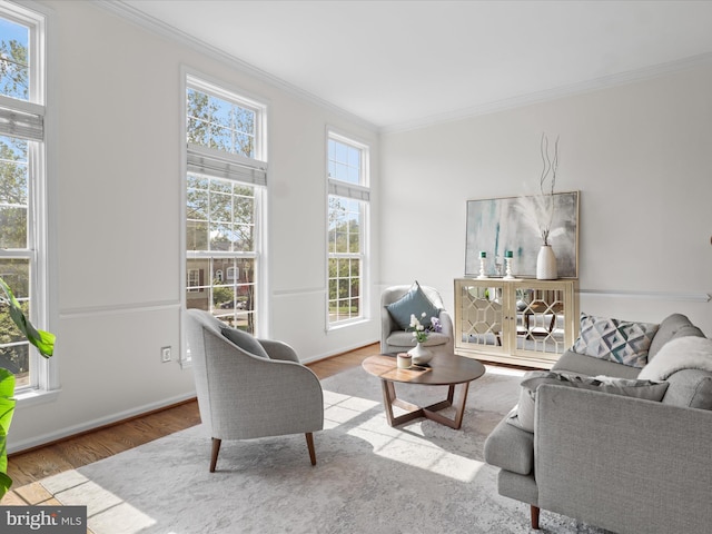 living area with baseboards, ornamental molding, and wood finished floors
