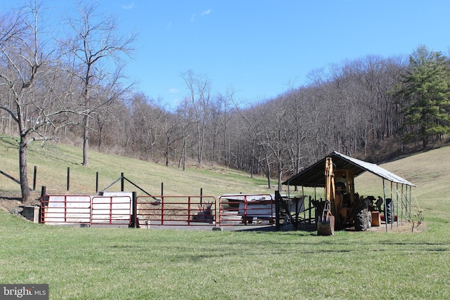 view of yard with fence, a rural view, and a view of trees