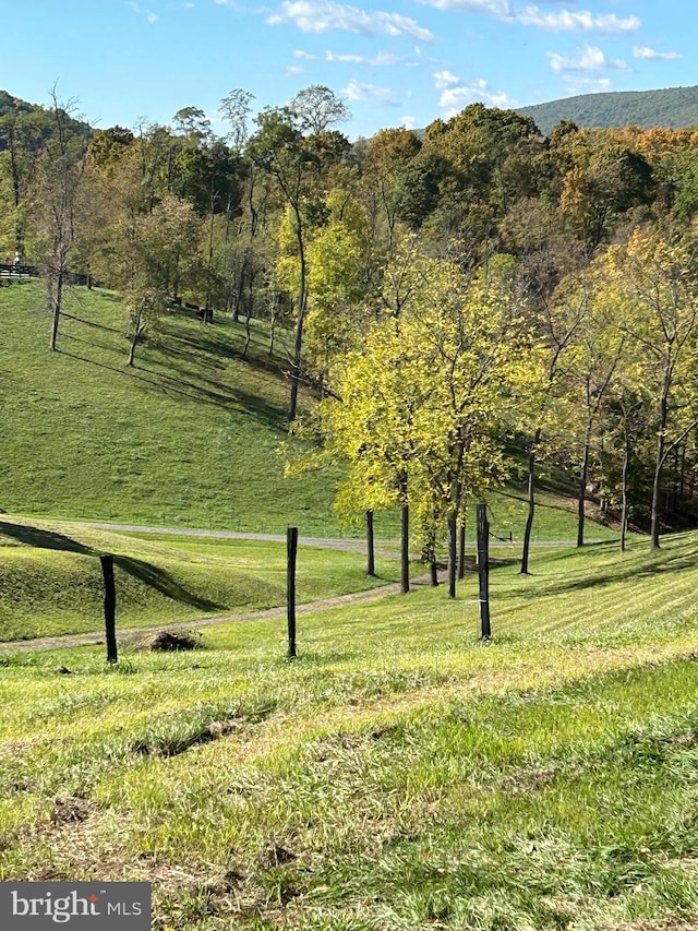 view of community featuring a lawn, a rural view, and a view of trees