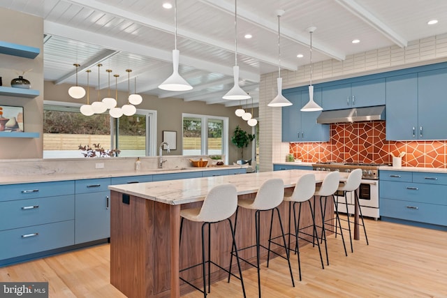 7030 Oregon Ave NW, Washington, DC 20015 - kitchen with blue cabinets, high end stainless steel range, under cabinet range hood, and light wood-style flooring