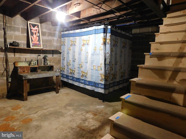 unfinished basement featuring concrete block wall