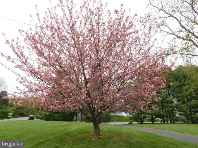 exterior space featuring a front lawn