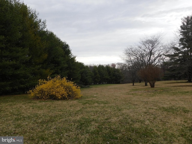 view of nature featuring a forest view