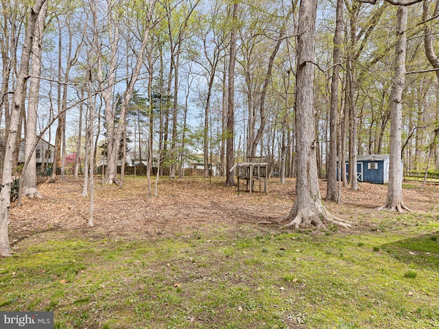 666 Clifton Dr, Bear, DE 19701 - view of yard with an outdoor structure and a shed