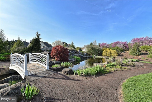 exterior space with a small pond