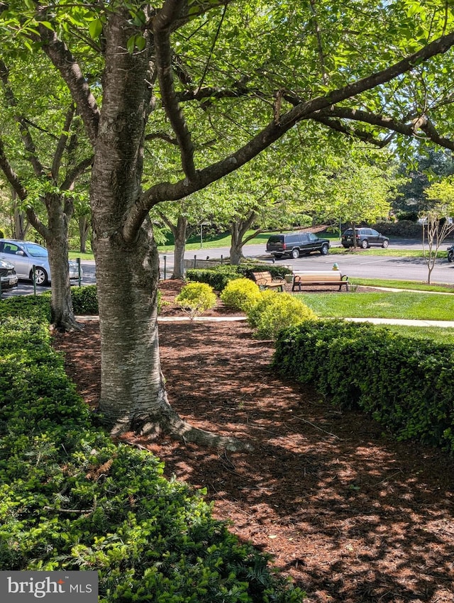 view of property's community