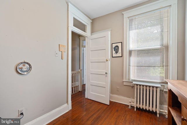 interior space featuring radiator, baseboards, dark wood-style flooring, and a wealth of natural light