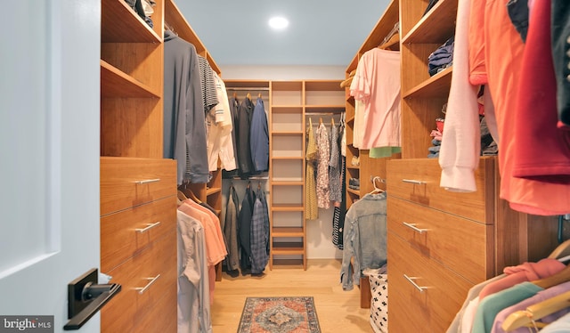 walk in closet with wood finished floors