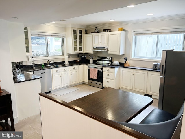 kitchen featuring appliances with stainless steel finishes, under cabinet range hood, a sink, dark countertops, and crown molding