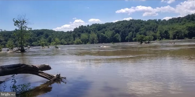 water view featuring a heavily wooded area