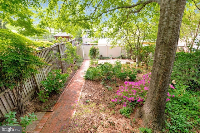 view of yard with a fenced backyard