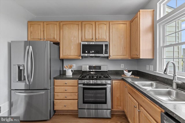 20973 Killawog Ter, Ashburn, VA 20147 - kitchen with appliances with stainless steel finishes, a sink, dark wood-type flooring, and light brown cabinetry