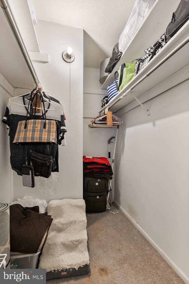 spacious closet with carpet