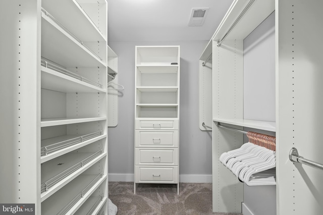 59 N Ridgemont Way, Shepherdstown, WV 25443 - walk in closet featuring carpet floors