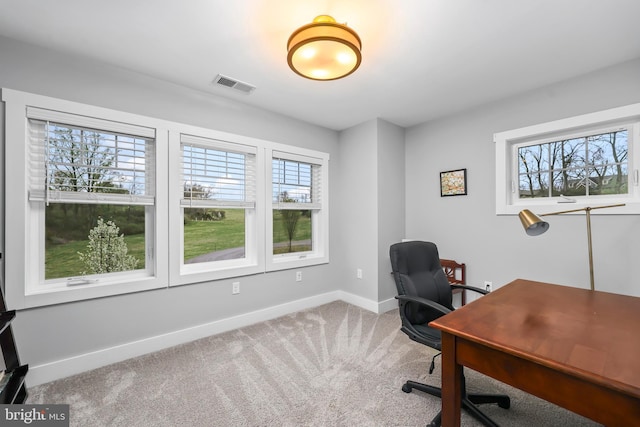 59 N Ridgemont Way, Shepherdstown, WV 25443 - carpeted office with plenty of natural light and baseboards