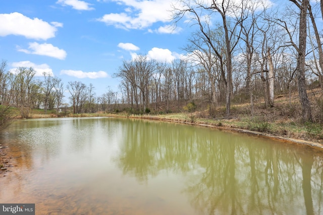 59 N Ridgemont Way, Shepherdstown, WV 25443 - water view
