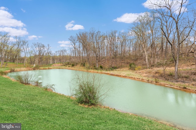 59 N Ridgemont Way, Shepherdstown, WV 25443 - water view