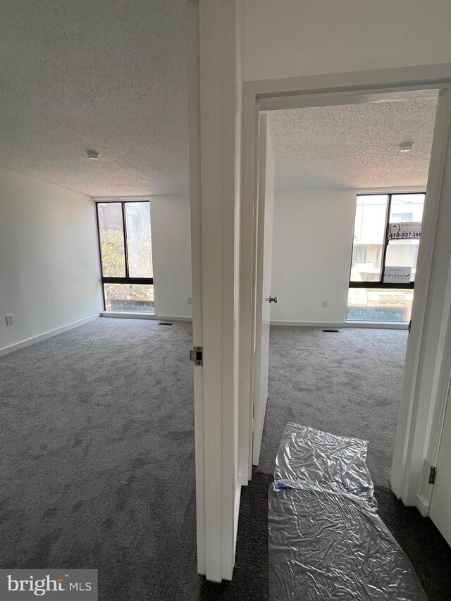 2357 Nutmeg Ter, Baltimore, MD 21209 - corridor with carpet, baseboards, and a textured ceiling