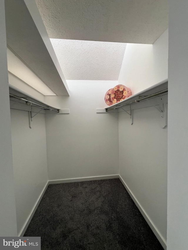 2357 Nutmeg Ter, Baltimore, MD 21209 - spacious closet featuring carpet floors