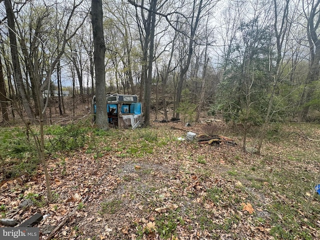 14248 Cunningham Dr SW, Cumberland, MD 21502 - view of yard featuring an outdoor structure