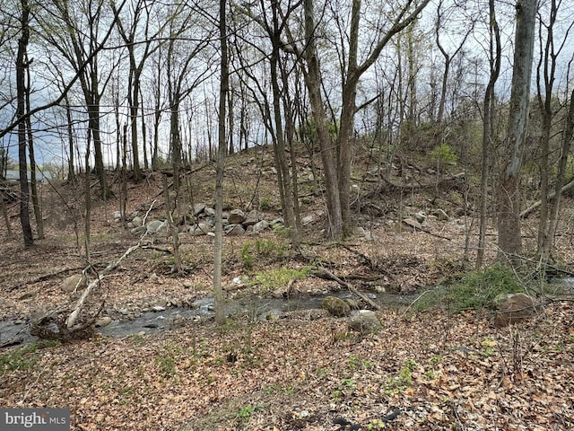 14248 Cunningham Dr SW, Cumberland, MD 21502 - view of nature
