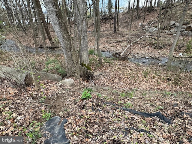 14248 Cunningham Dr SW, Cumberland, MD 21502 - view of landscape