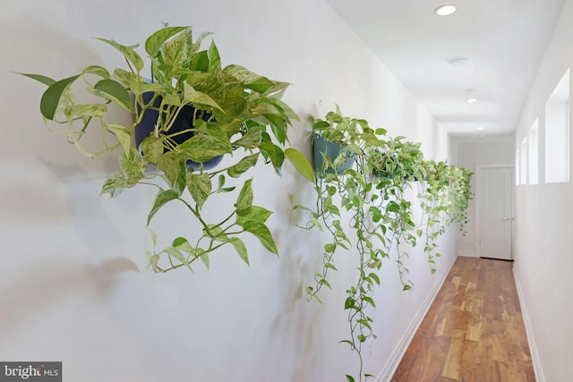 corridor featuring baseboards, recessed lighting, and wood finished floors