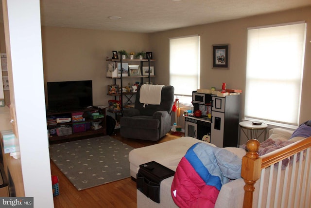 living area with wood finished floors and a healthy amount of sunlight