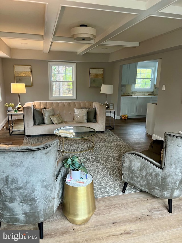 living room featuring coffered ceiling, baseboards, wood finished floors, and a healthy amount of sunlight