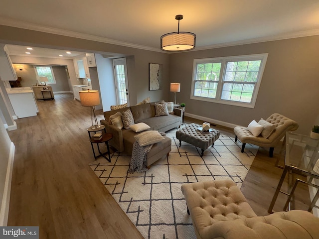 living area with ornamental molding, baseboards, and light wood-style floors