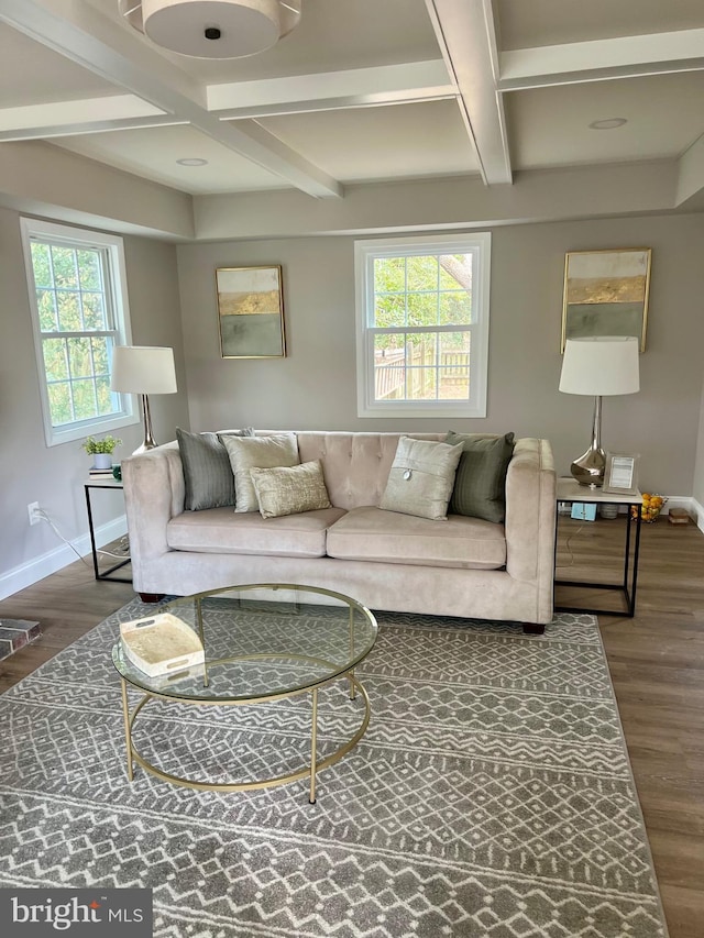 living room with plenty of natural light, coffered ceiling, baseboards, and wood finished floors