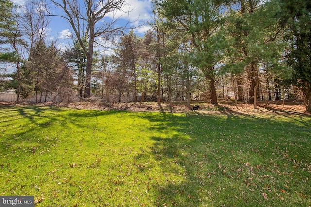 view of yard