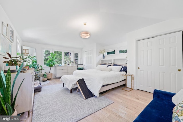 bedroom featuring multiple closets and wood finished floors