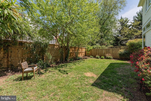 view of yard featuring a fenced backyard