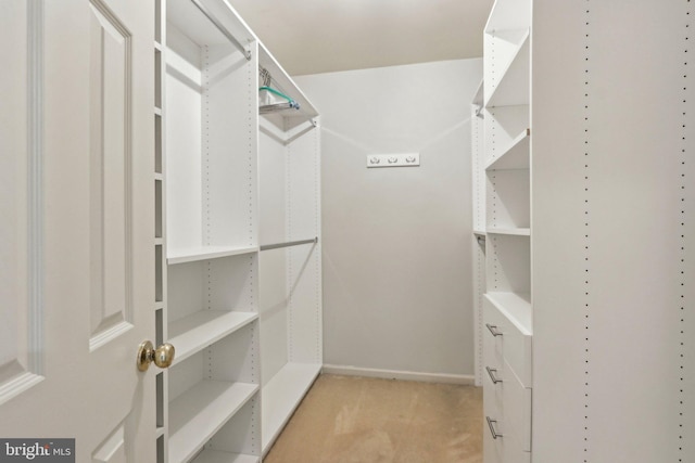 walk in closet featuring light carpet